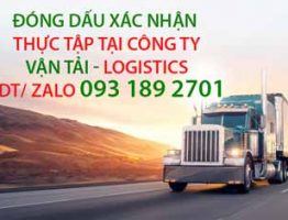 Đóng dấu xác nhận thực tập tại công ty vận tải Logistics - Chứng từ xnk